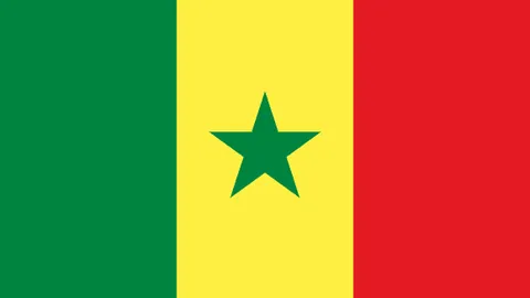 穆斯卡特争议背后：赛后言论真相揭秘