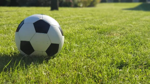 “郑凯木、廖承坚正式加盟武汉三镇足球俱乐部”